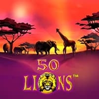 Fifty Lions